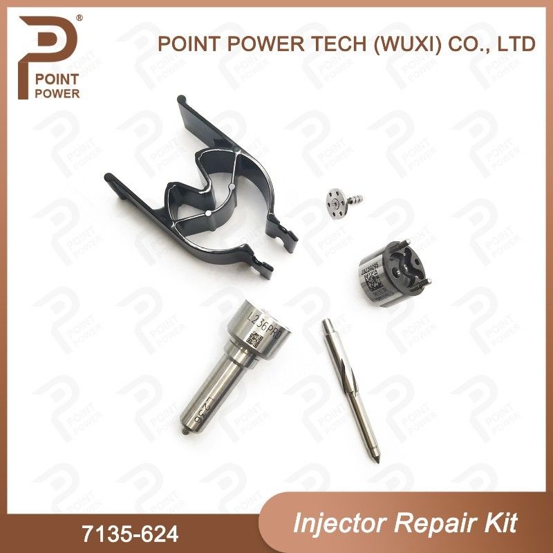 Комплект по ремонту впрыска Delphi Nozzle-CVA Kit 7135-624 для впрыска DAIMLER R04201D