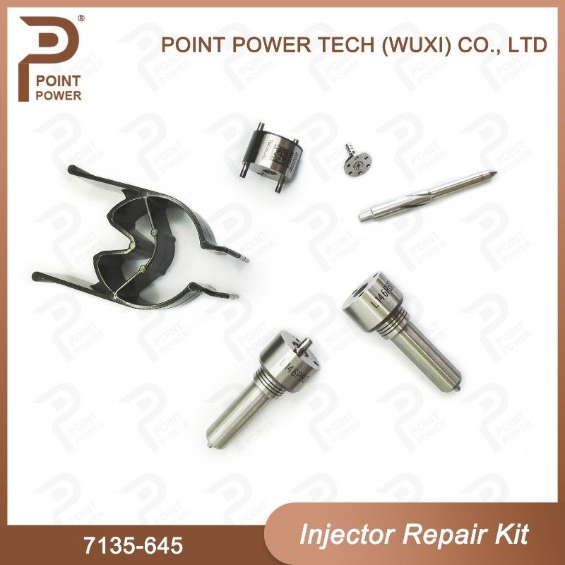 7135-645 Комплект по ремонту Delphi Injector для инжекторов R05201D Комплект Nozzle-CVA с Common Rail Nozzle