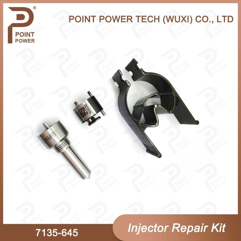 7135-645 Комплект по ремонту Delphi Injector для инжекторов R05201D Комплект Nozzle-CVA с Common Rail Nozzle