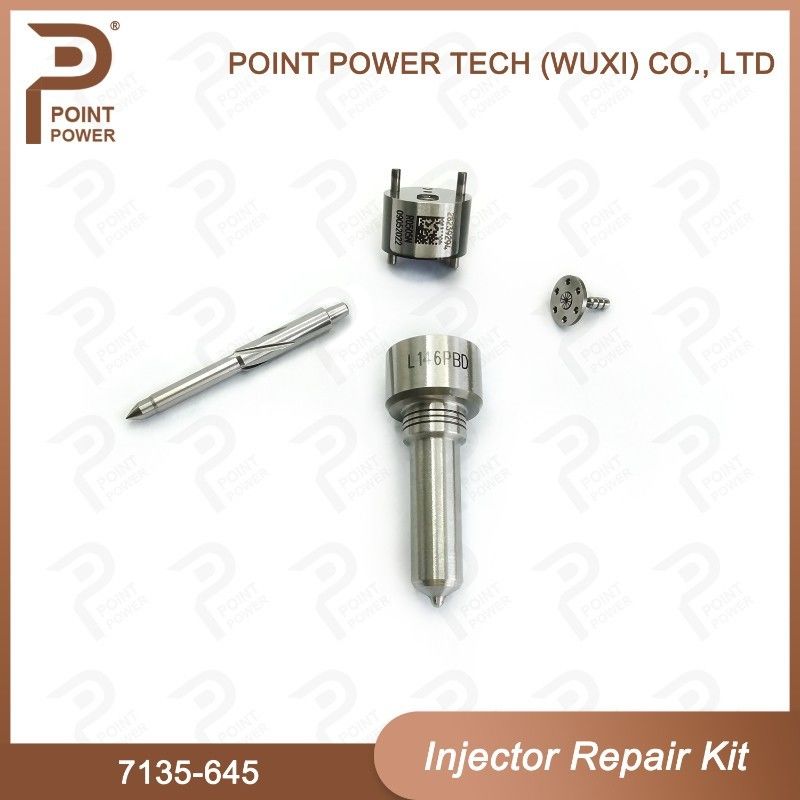 7135-645 Комплект по ремонту Delphi Injector для инжекторов R05201D Комплект Nozzle-CVA с Common Rail Nozzle