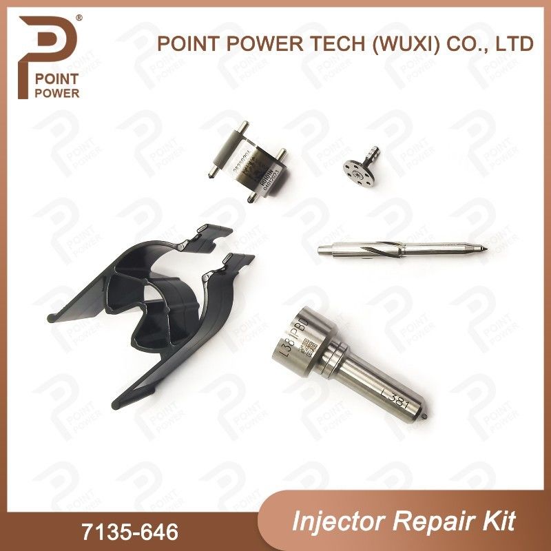 7135-646 Комплект ремонта Delphi Injector для инжектора 28232251/ R03101D/R05102D Комплект для клапанов с соплами