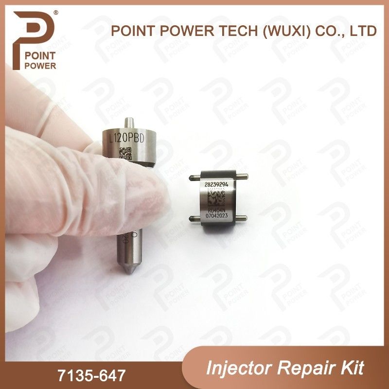 7135-647 Комплект по ремонту Delphi Injector для инжектора 28232248 Комплект для клапана с соплами с соплами L120PBD