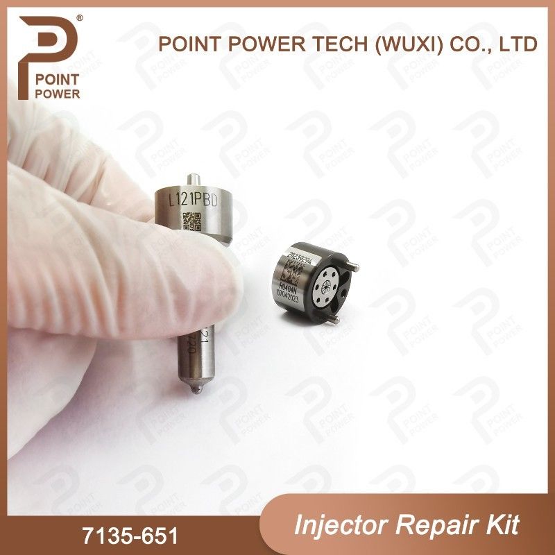 7135-651 Комплект по ремонту Delphi Injector для инжектора R02201Z Комплект с соприкосновением с соприкосновением L121PBD