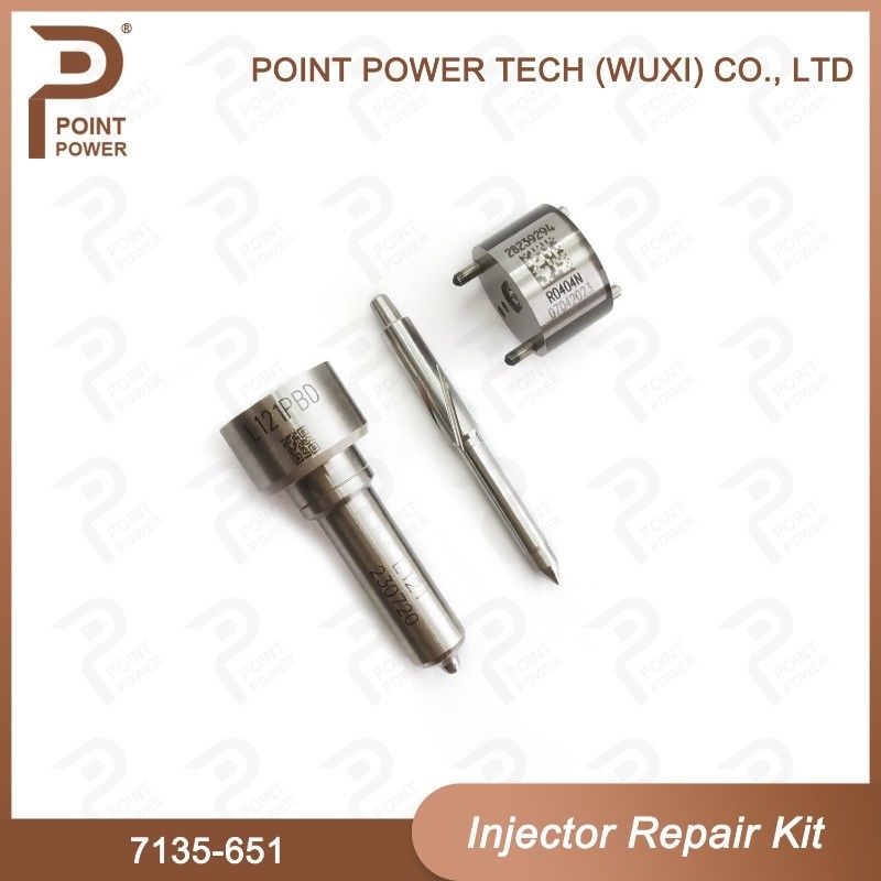 7135-651 Комплект по ремонту Delphi Injector для инжектора R02201Z Комплект с соприкосновением с соприкосновением L121PBD