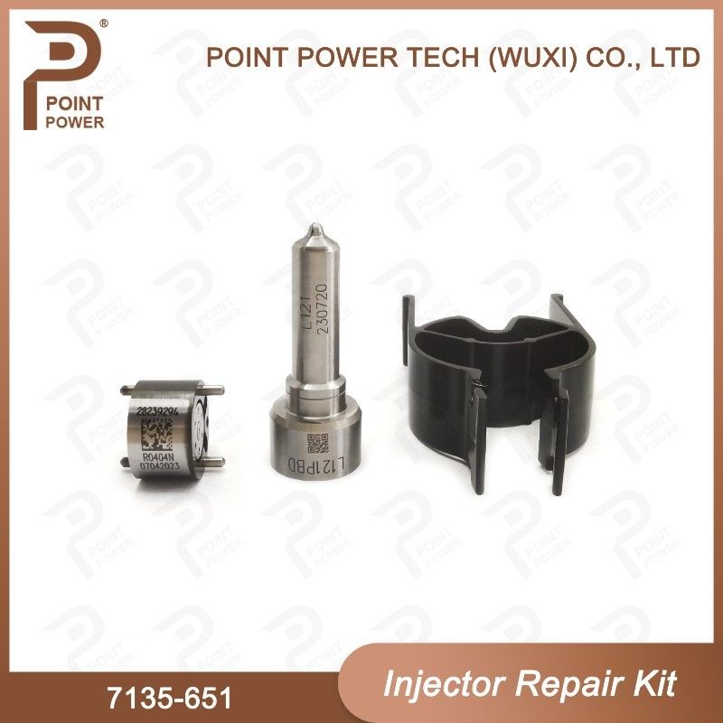 7135-651 Комплект по ремонту Delphi Injector для инжектора R02201Z Комплект с соприкосновением с соприкосновением L121PBD