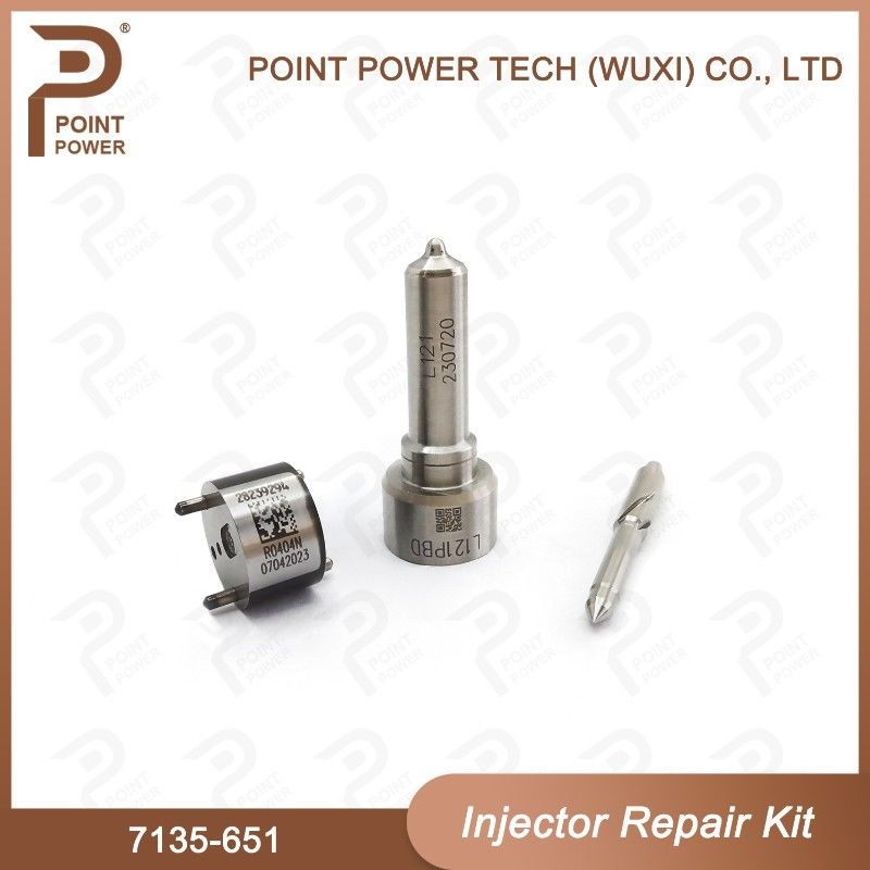7135-651 Комплект по ремонту Delphi Injector для инжектора R02201Z Комплект с соприкосновением с соприкосновением L121PBD