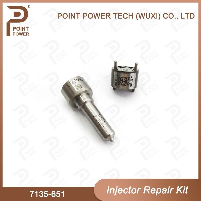 7135-651 Комплект по ремонту Delphi Injector для инжектора R02201Z Комплект с соприкосновением с соприкосновением L121PBD
