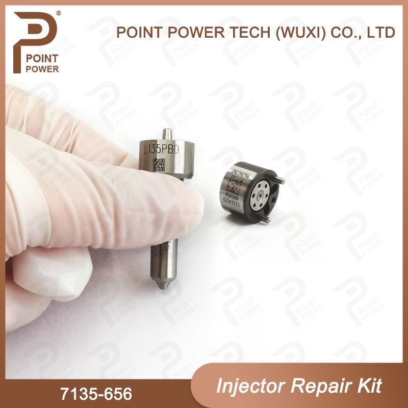 7135-656 Комплект по ремонту Delphi Injector для инжектора R00504Z Комплект клапанов с соплами с соплами L135PBD