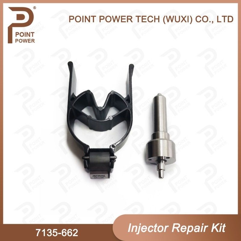 7135-662 Комплект по ремонту Delphi Injector Common Rail Diesel Injector Parts Nozzle-Valve Kit для инжекторов R05001D