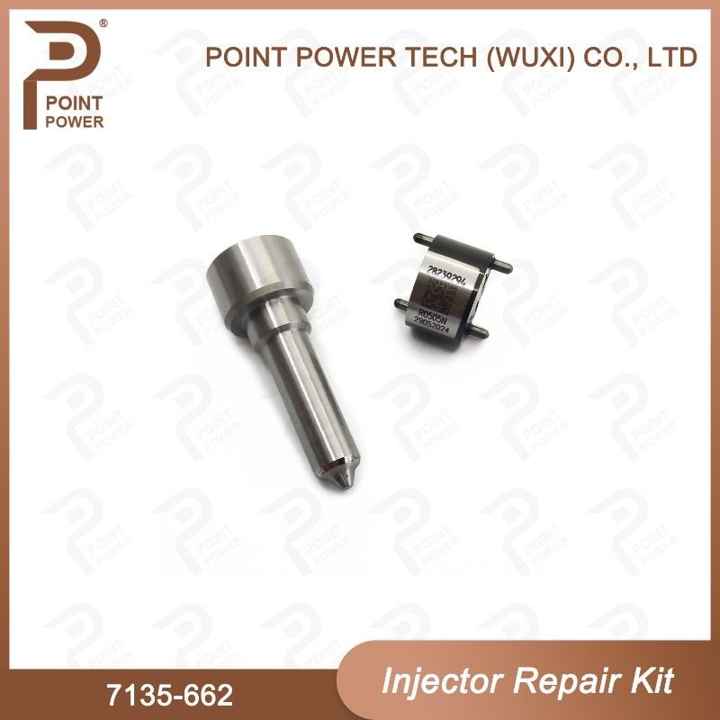 7135-662 Комплект по ремонту Delphi Injector Common Rail Diesel Injector Parts Nozzle-Valve Kit для инжекторов R05001D