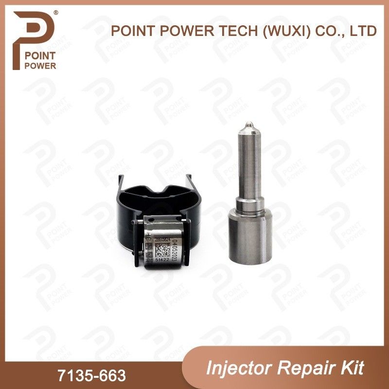 7135-663 Комплект по ремонту Delphi Injector Common Rail Diesel Injector части и комплекты для инжекторов Nozzle-Valve