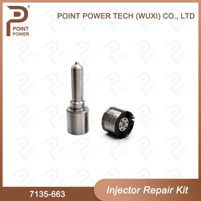 7135-663 Комплект по ремонту Delphi Injector Common Rail Diesel Injector части и комплекты для инжекторов Nozzle-Valve