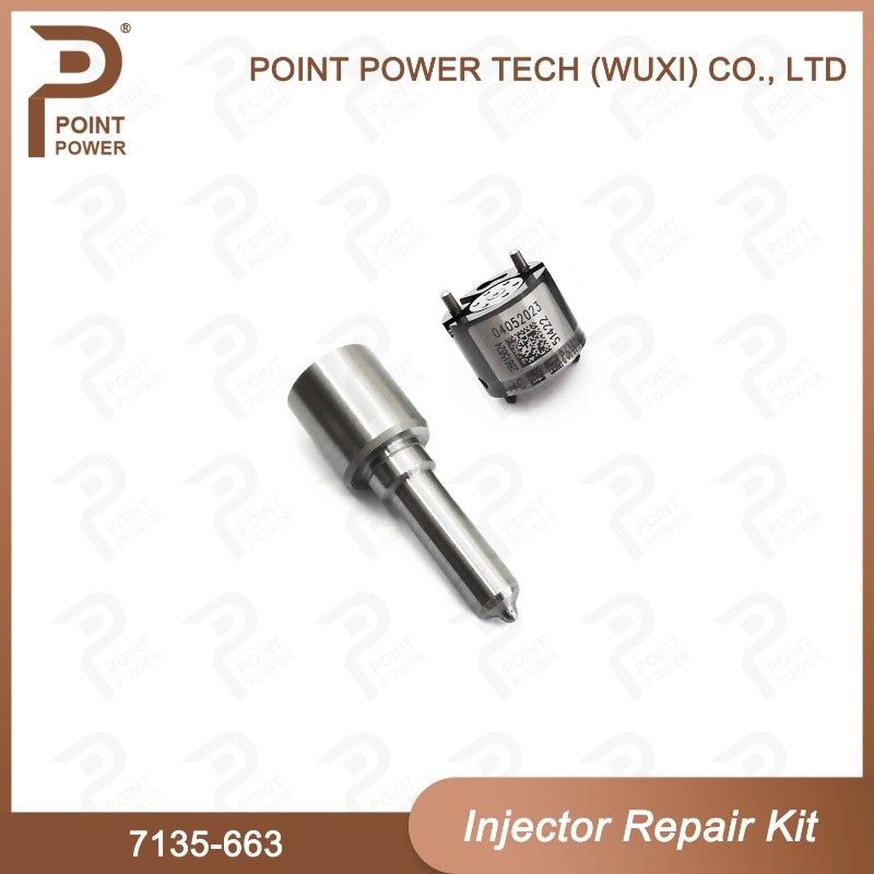 7135-663 Комплект по ремонту Delphi Injector Common Rail Diesel Injector части и комплекты для инжекторов Nozzle-Valve