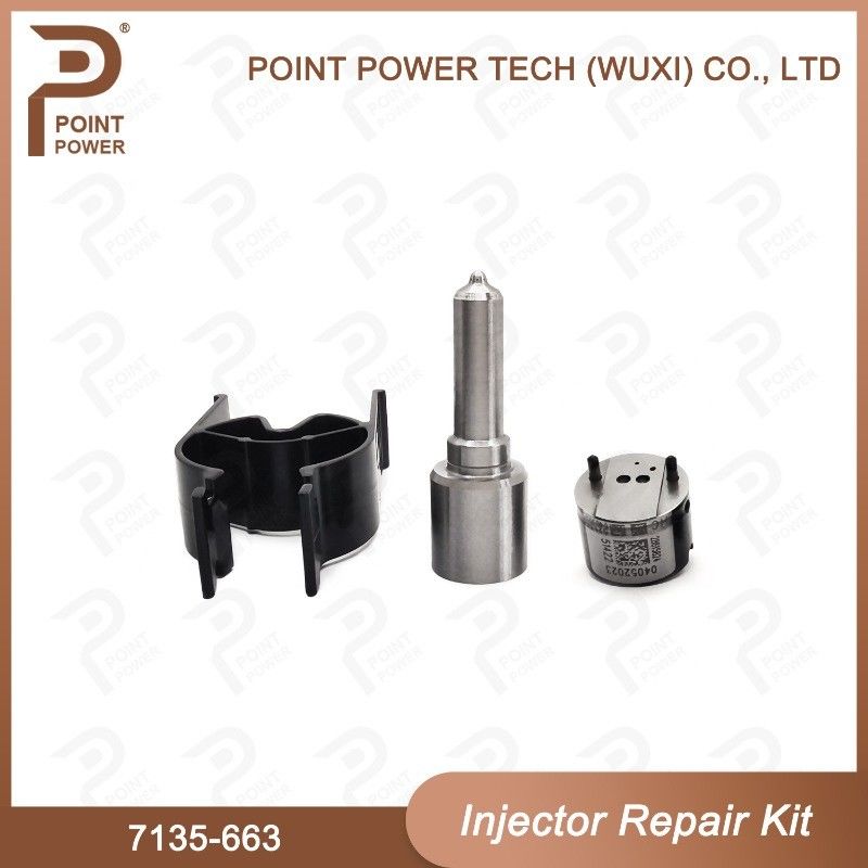 7135-663 Комплект по ремонту Delphi Injector Common Rail Diesel Injector части и комплекты для инжекторов Nozzle-Valve