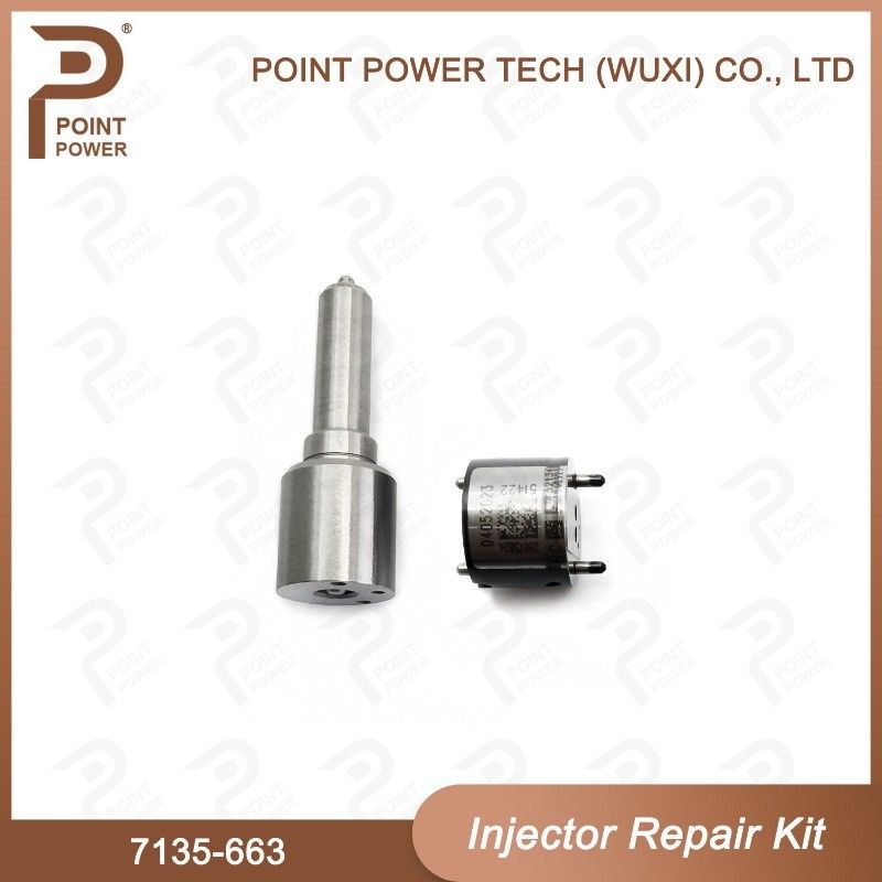 7135-663 Комплект по ремонту Delphi Injector Common Rail Diesel Injector части и комплекты для инжекторов Nozzle-Valve