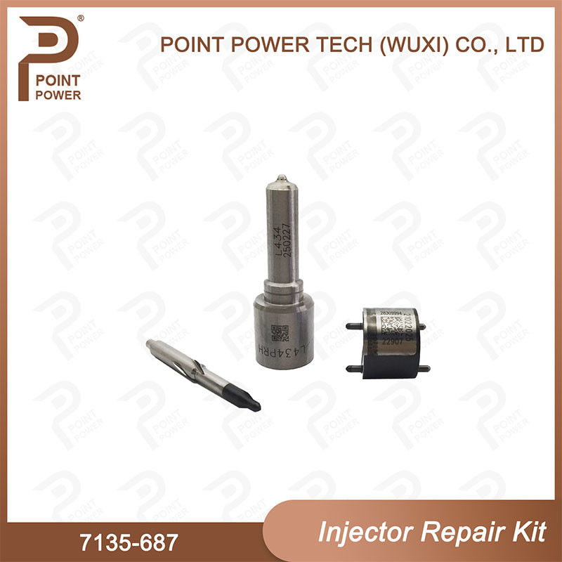7135-687 Комплект по ремонту Delphi Injector Common Rail Diesel Injector Parts Nozzle-Valve Kit (Комплект по ремонту Delphi Injector)