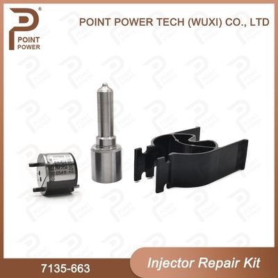 7135-663 Комплект по ремонту Delphi Injector Common Rail Diesel Injector части и комплекты для инжекторов Nozzle-Valve